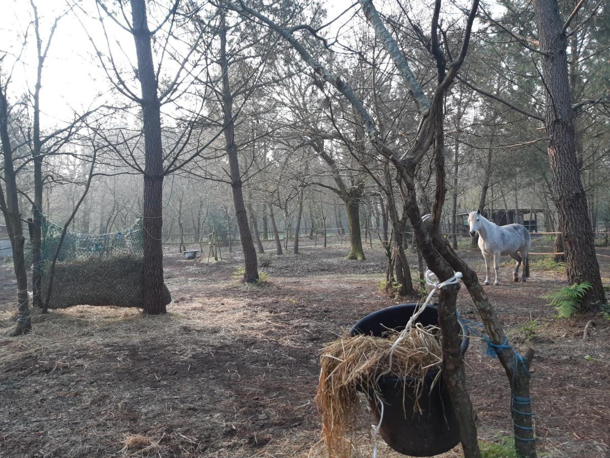 فندق Domaine De L'Escuderia بارينتس إن بورن المظهر الخارجي الصورة